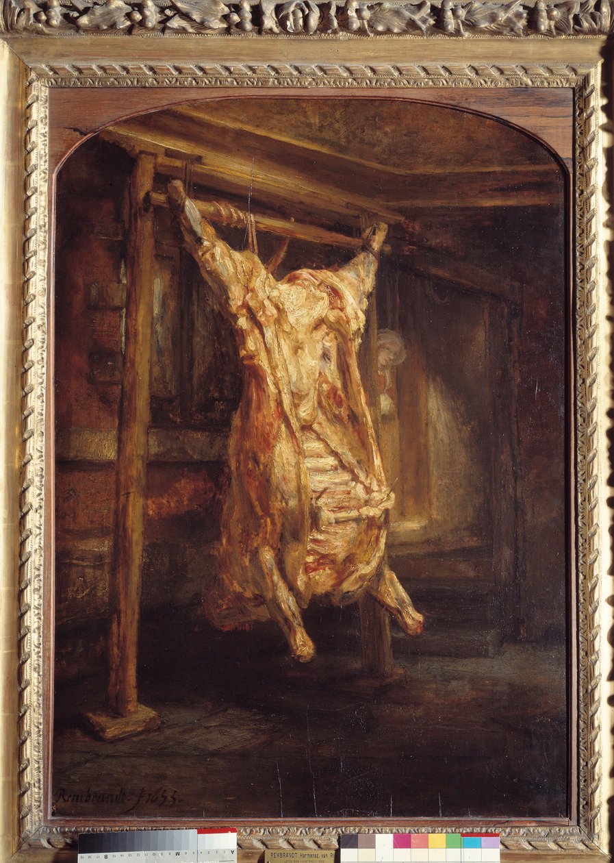 Sığır kabuğu Sığır karkası ayrı. Harmensz Van Rijn Rembrandt