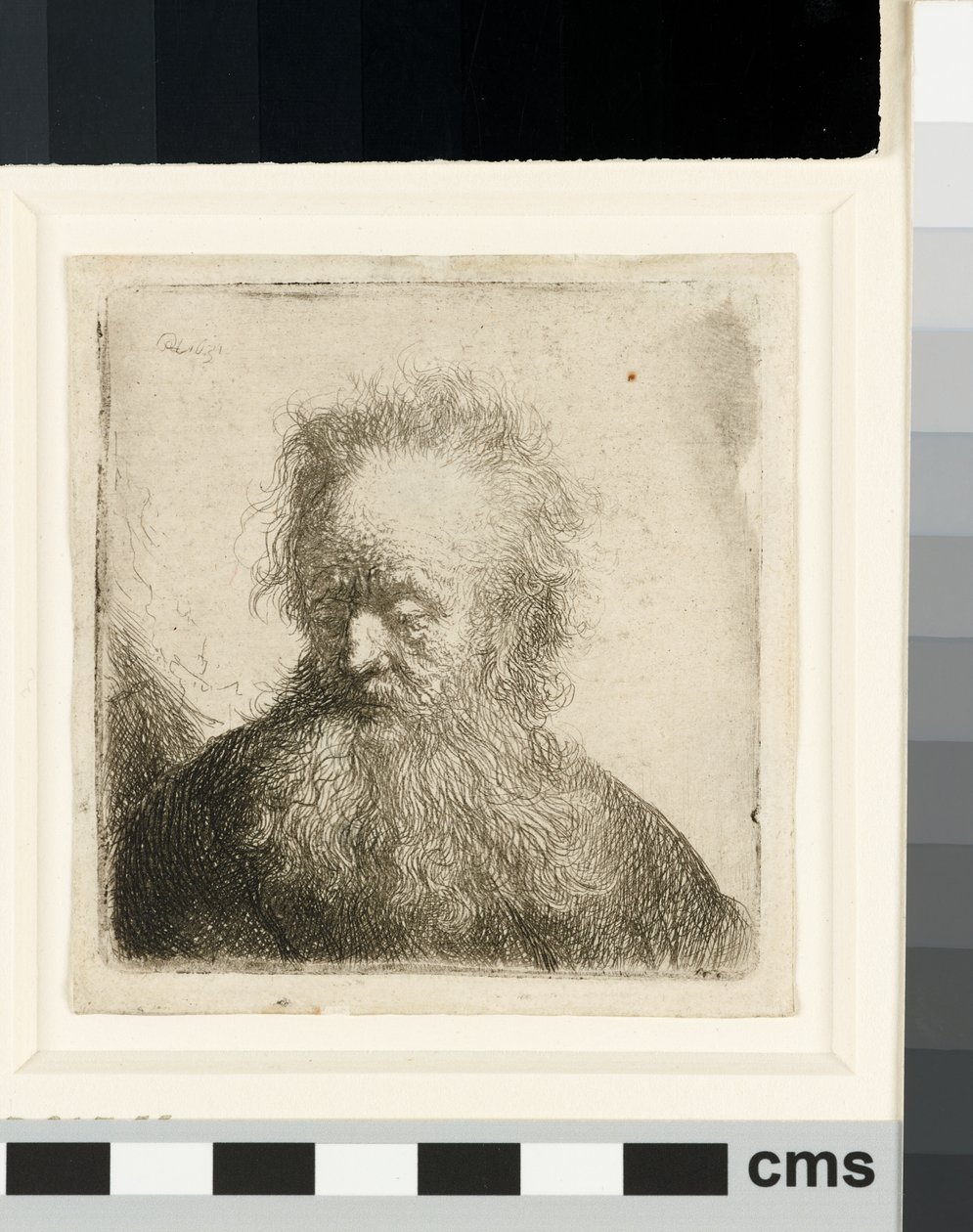 Akan sakallı yaşlı adam: büstü by Rembrandt van Rijn