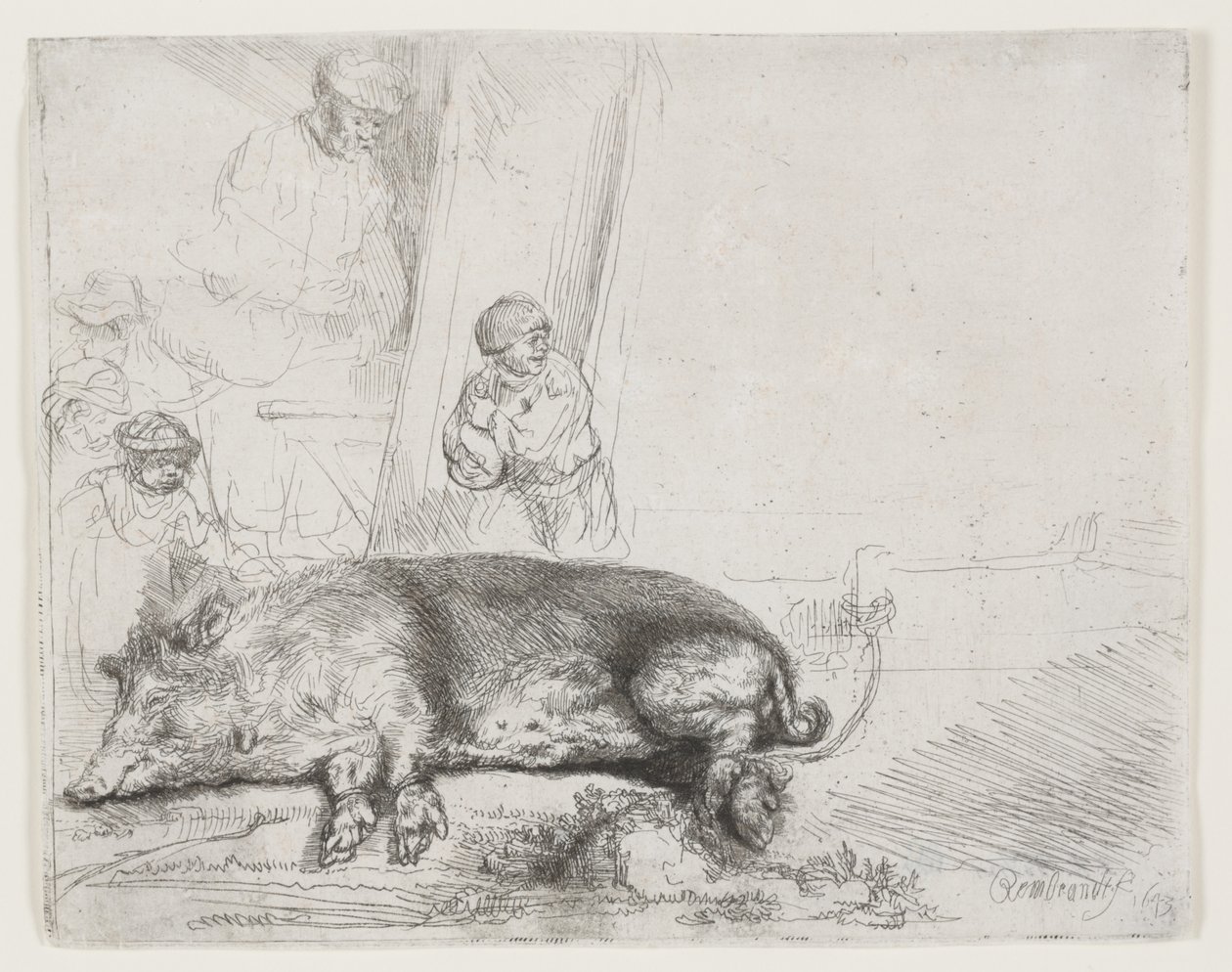 Domuz by Rembrandt van Rijn
