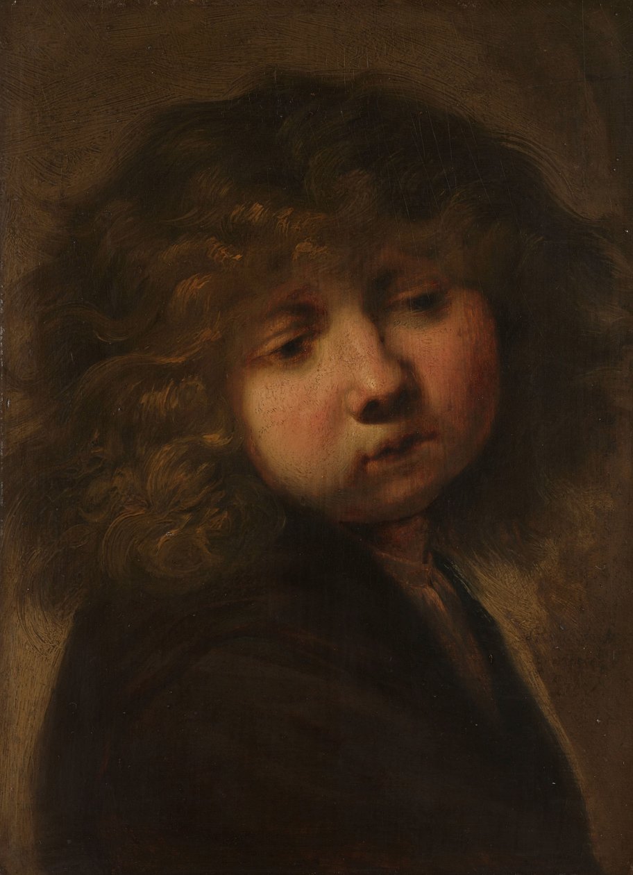 Bir çocuğun başı by Rembrandt van Rijn (circle of)