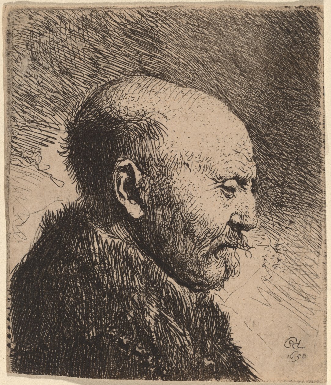 Profildeki Kel Adam (Sanatçının Babası?) by Rembrandt van Rijn