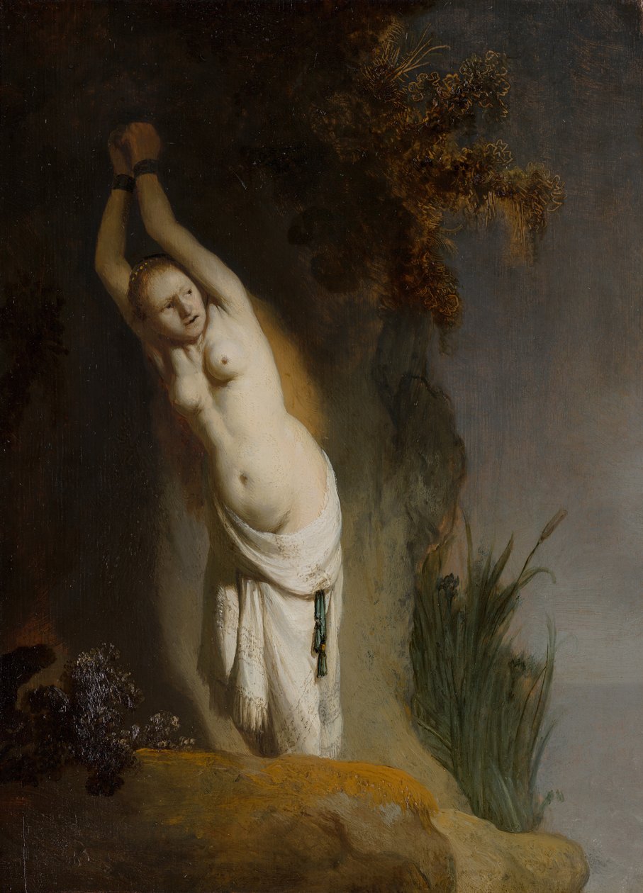 Andromeda Kayalara Zincirlenmiş, 1630 dolayları. by Rembrandt van Rijn