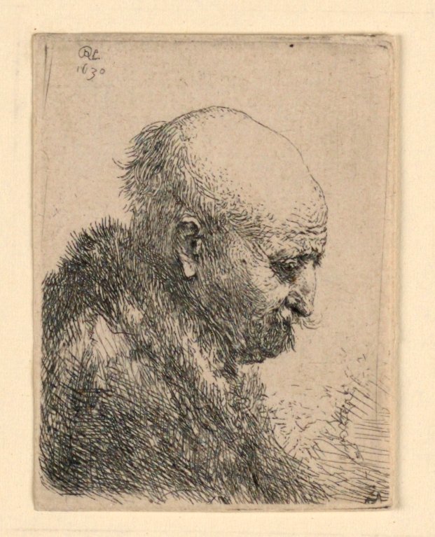 Profildeki Kel Kafalı Adam Sağ: Küçük Göğüs; Sanatçının Babası? by Rembrandt van Rijn