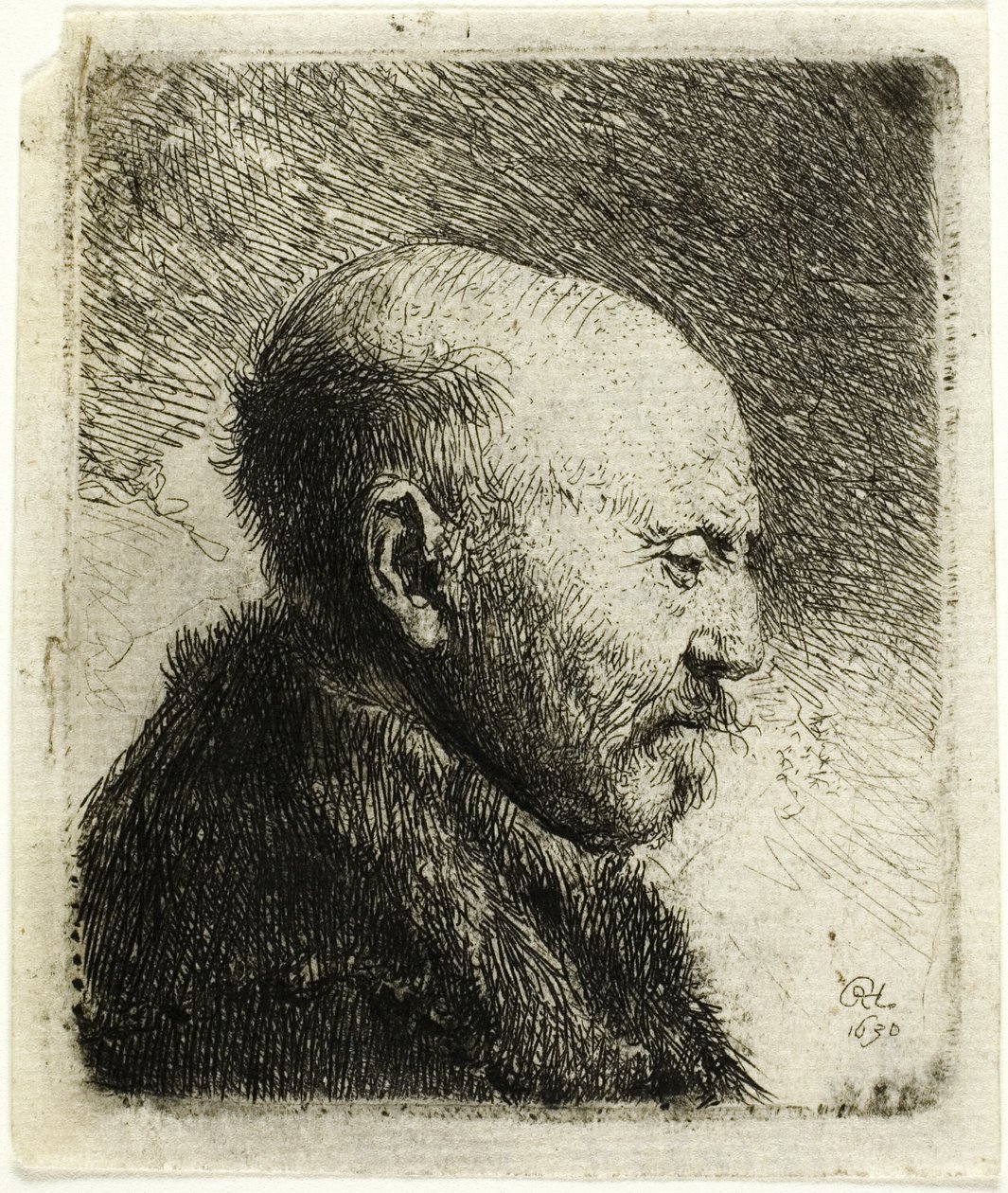  by Rembrandt van Rijn
