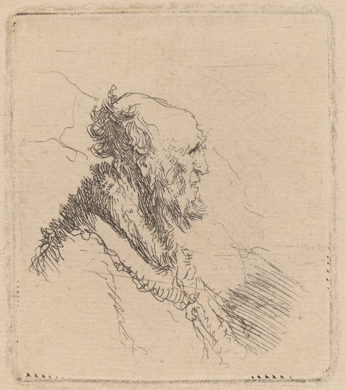 Profilde Kısa Sakallı Kel Yaşlı Adam by Rembrandt van Rijn
