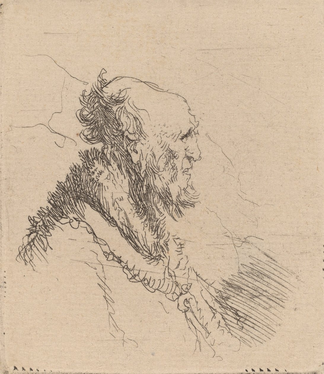 Profilde Kısa Sakallı Kel Yaşlı Adam, c. 1635. by Rembrandt van Rijn