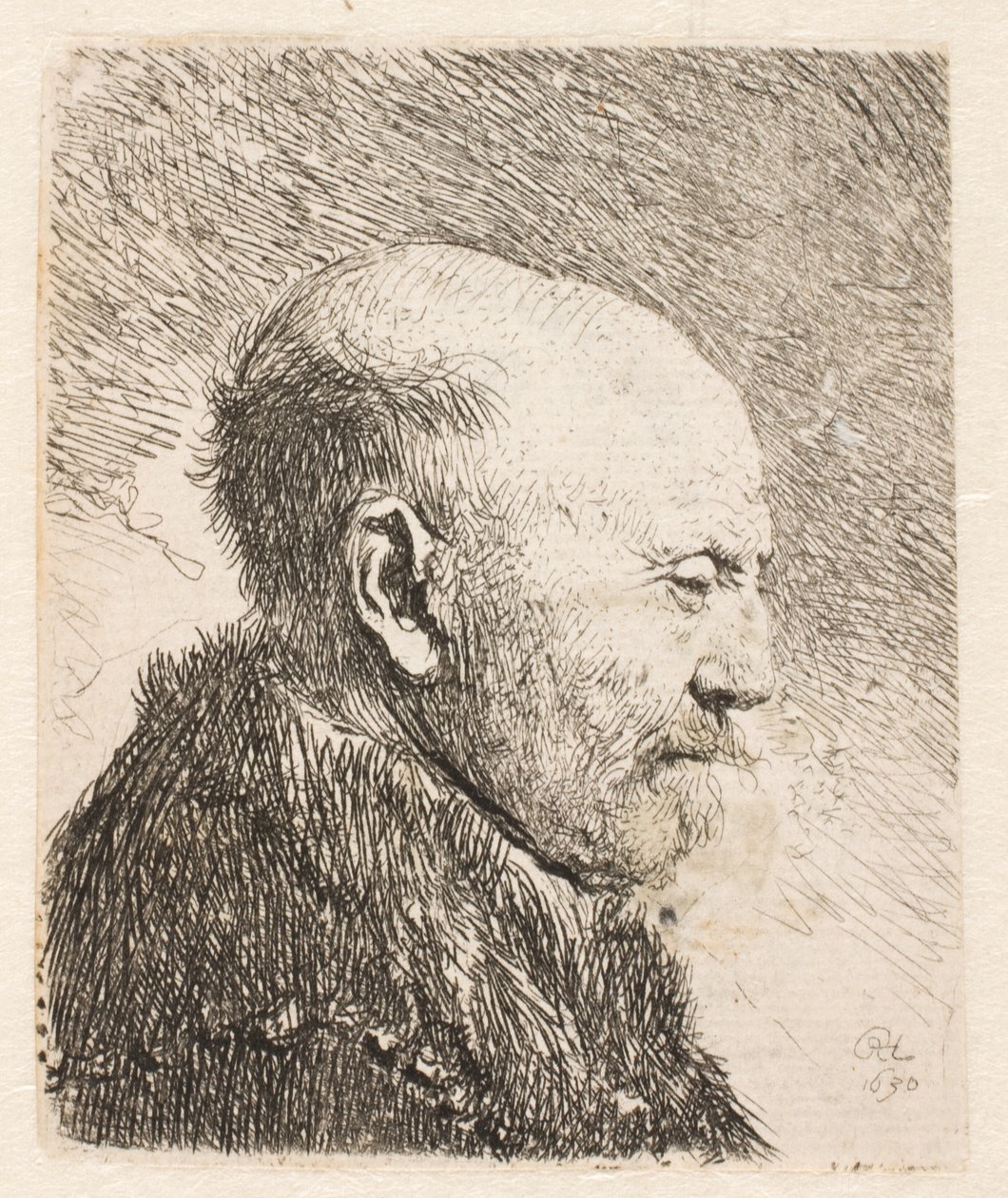 Profildeki kel adam (Rembrandt