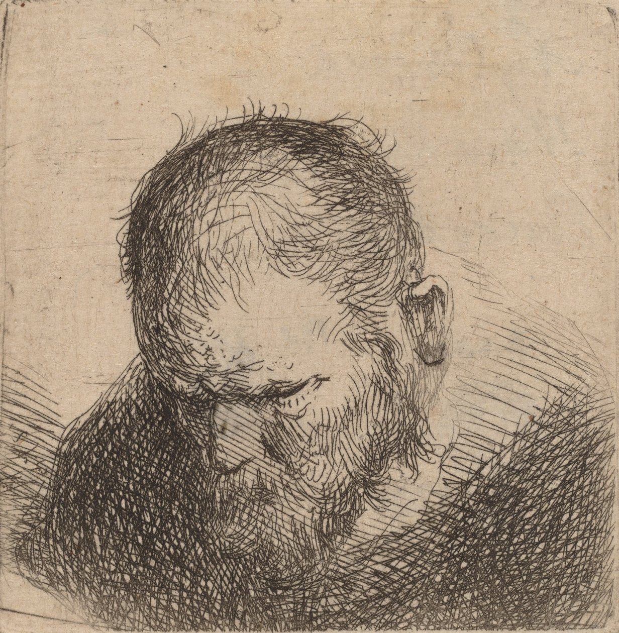 Sakallı Adam Aşağıya Bakıyor, muhtemelen 1631. by Rembrandt van Rijn