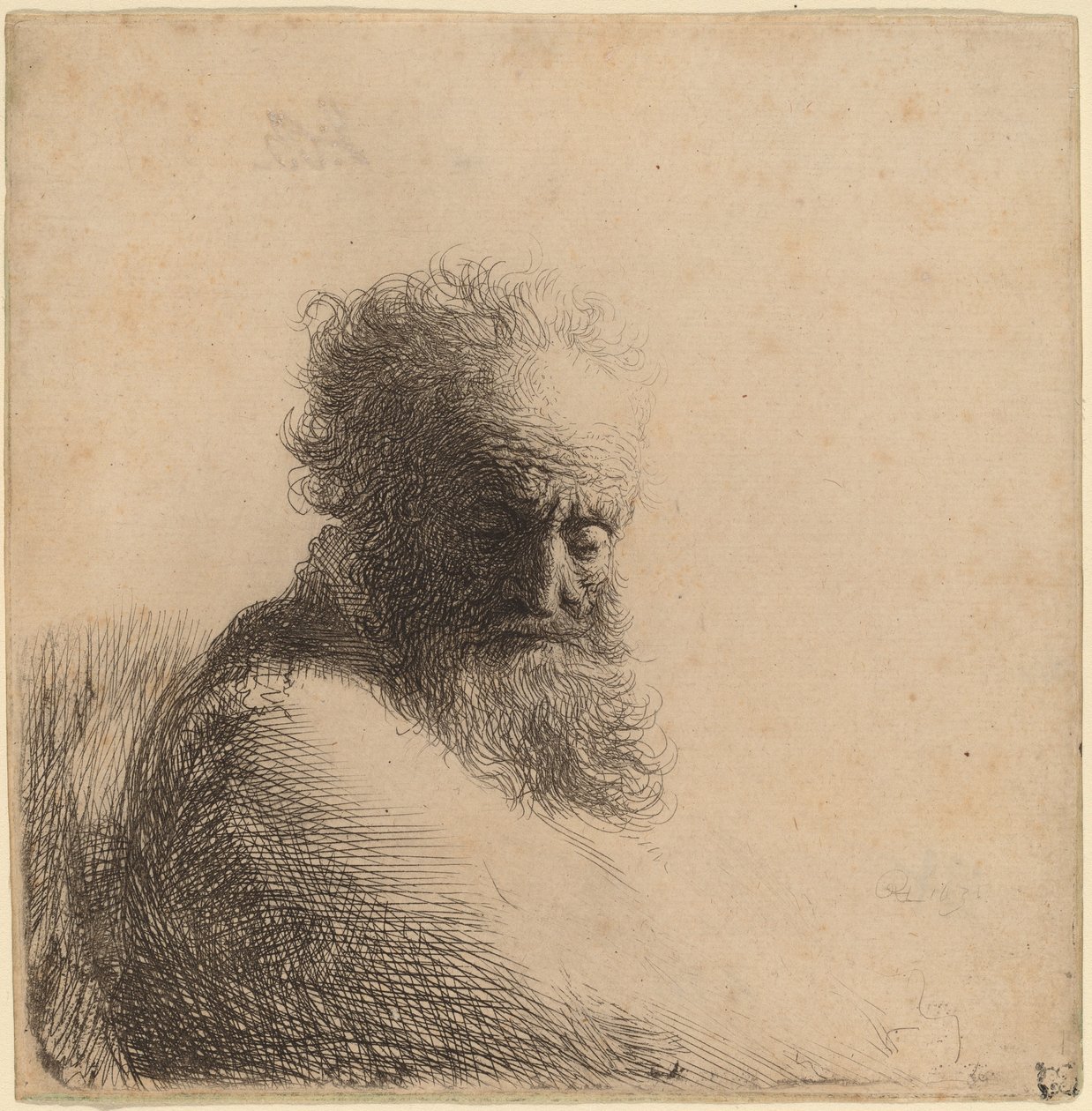 Yaşlı Sakallı Bir Adamın Büstü, Aşağıya Bakıyor, Dörtte Üçü Sağ by Rembrandt van Rijn