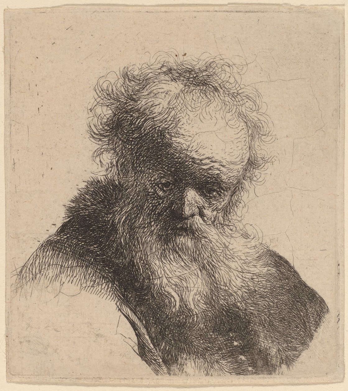 Dalgalı Sakallı ve Beyaz Kollu Yaşlı Bir Adamın Büstü by Rembrandt van Rijn