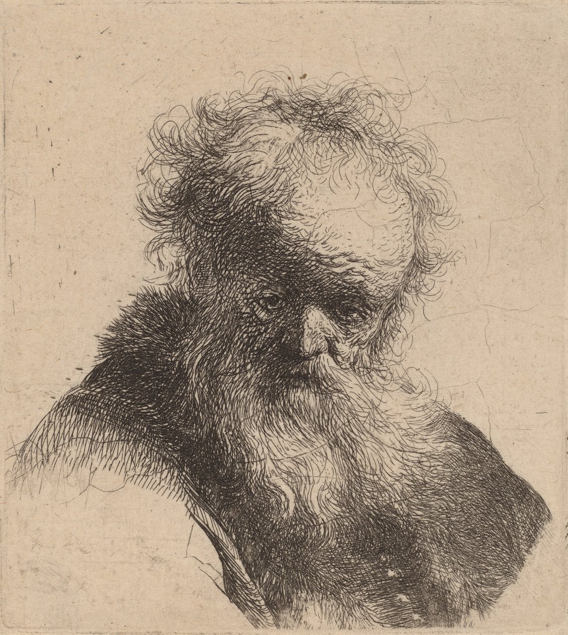 Dalgalı Sakallı ve Beyaz Kollu Yaşlı Adam Büstü, c. 1630. by Rembrandt van Rijn