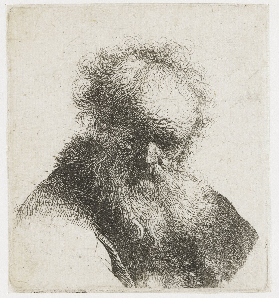 Akan sakallı ve beyaz kollu yaşlı bir adamın büstü by Rembrandt van Rijn