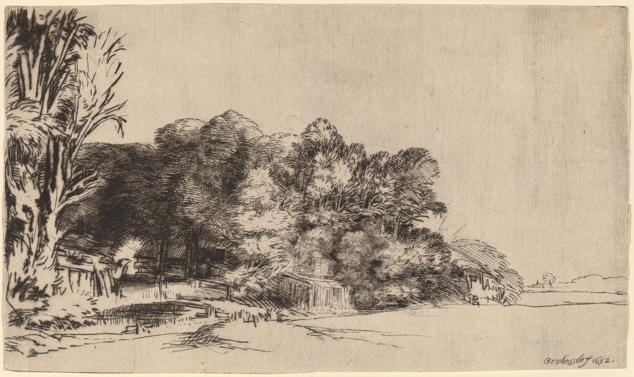 Bir Vista ile Ağaç Kümesi by Rembrandt van Rijn
