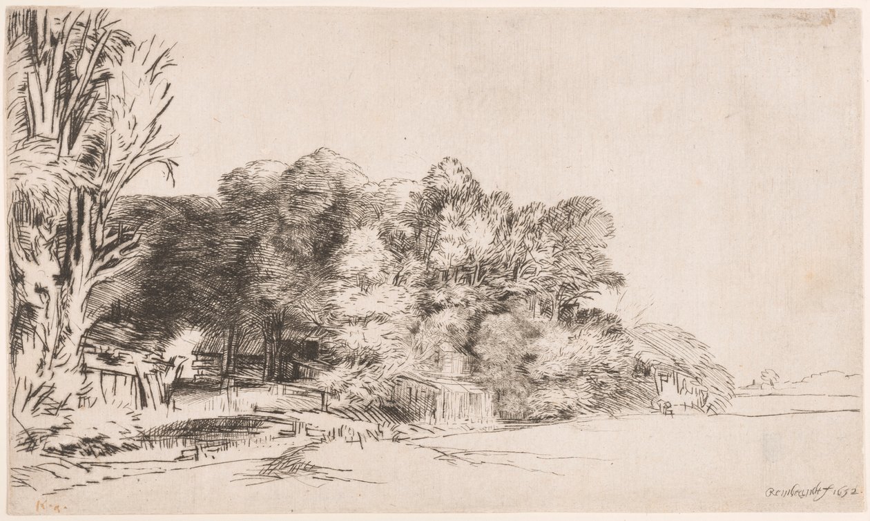 Bir Vista ile Ağaç Kümesi by Rembrandt van Rijn