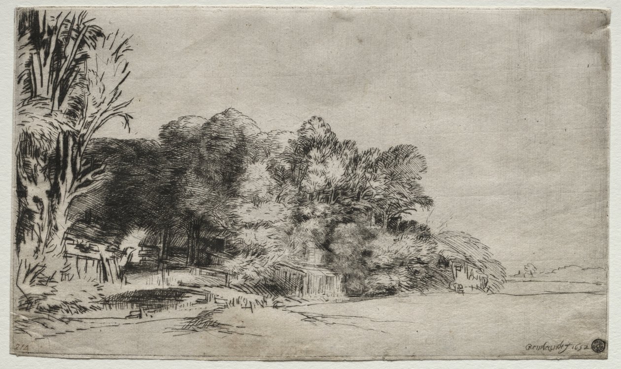 Bir Vista ile Ağaç Kümesi by Rembrandt van Rijn
