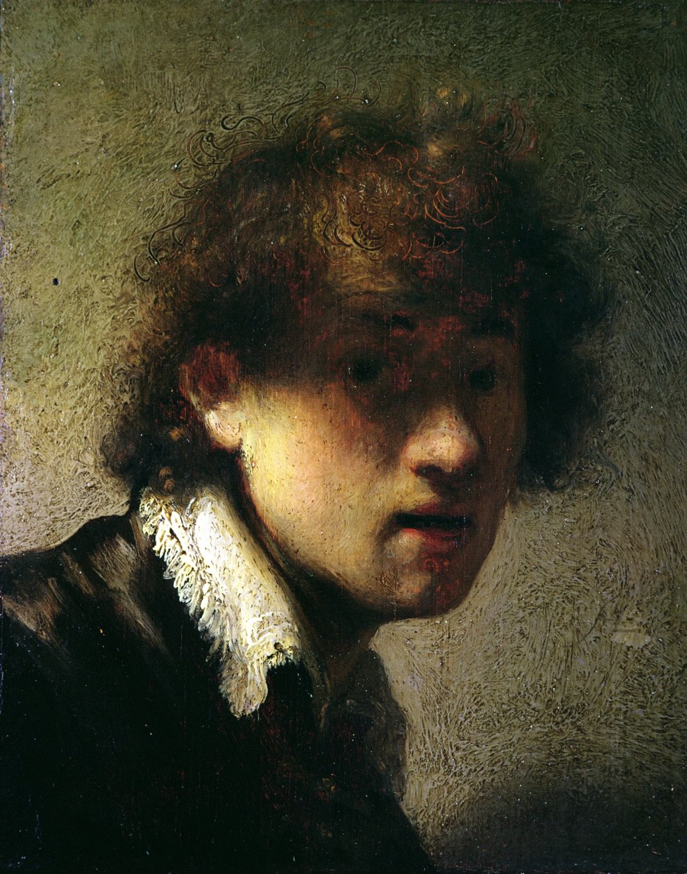 Bir Genç Adamın Başı veya Kendi Portresi, 1629 by Rembrandt van Rijn
