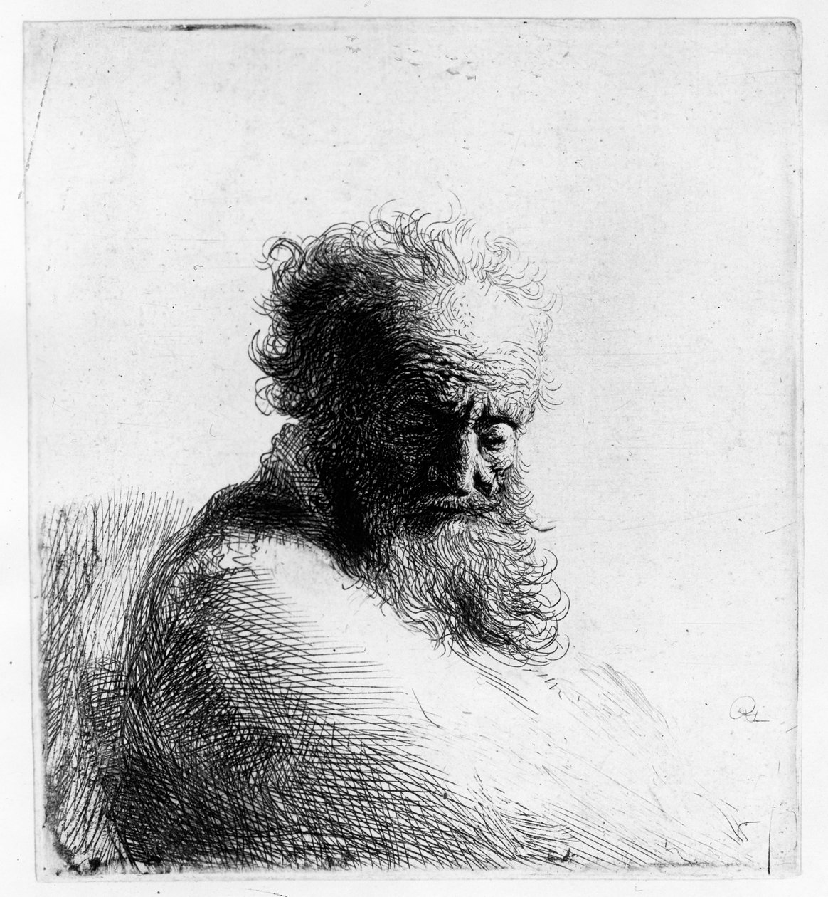 Yaşlı bir adamın başı, 1631 by Rembrandt van Rijn