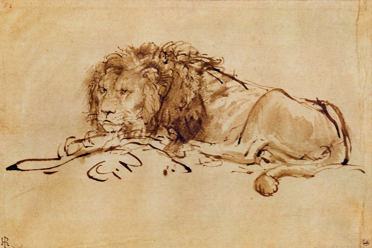 Kroki by Rembrandt van Rijn