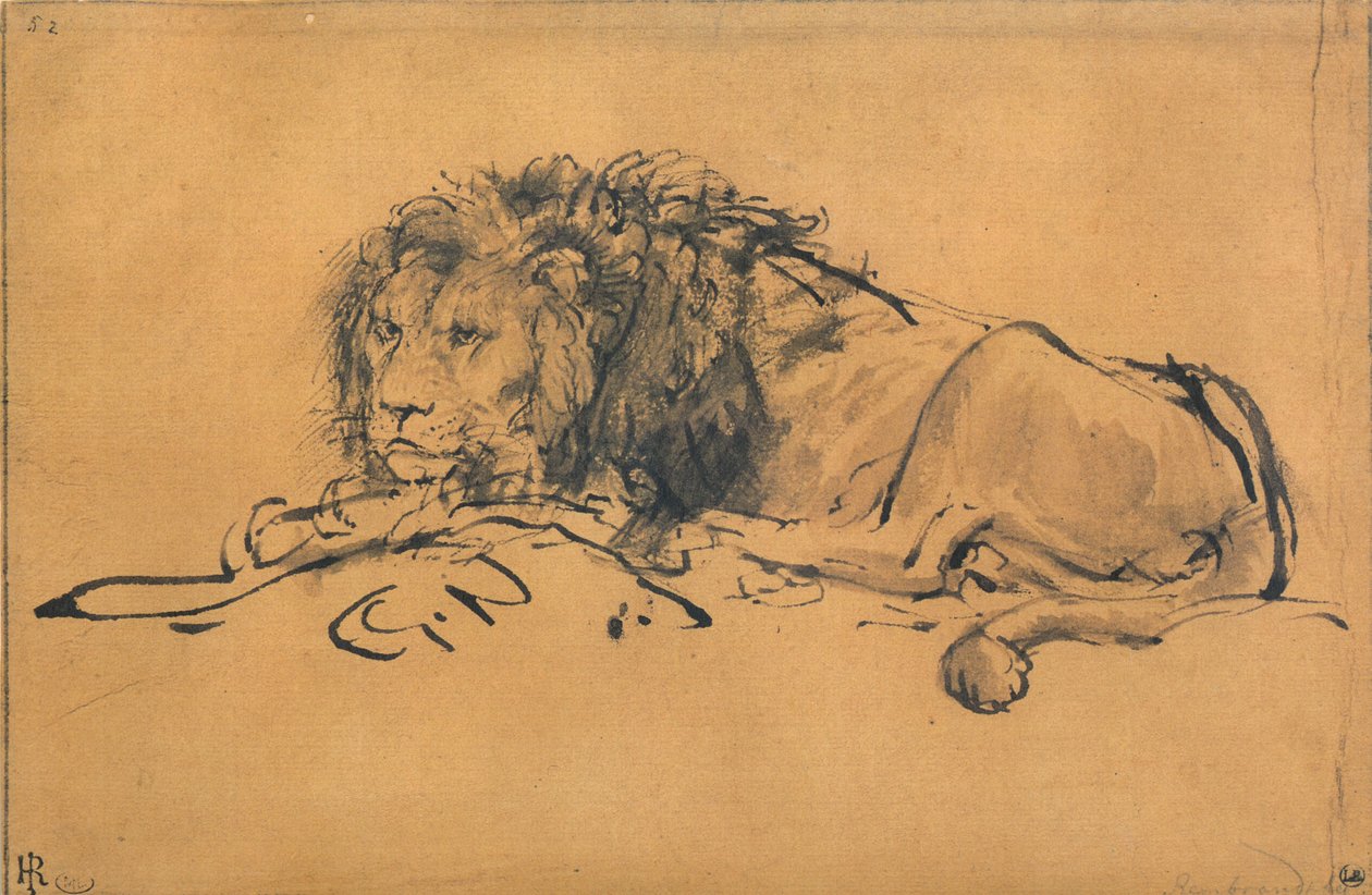 Dinlenen Aslan, Sola Döndü, c1650 by Rembrandt van Rijn