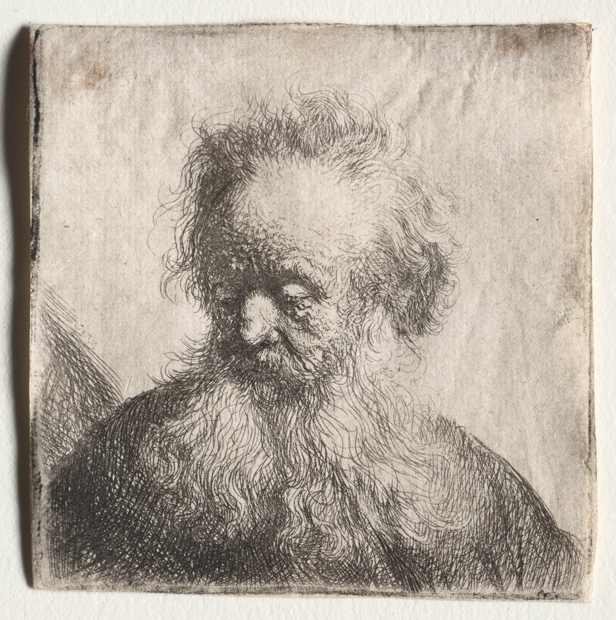 Akan Sakallı Yaşlı Adam: Göğüs by Rembrandt van Rijn