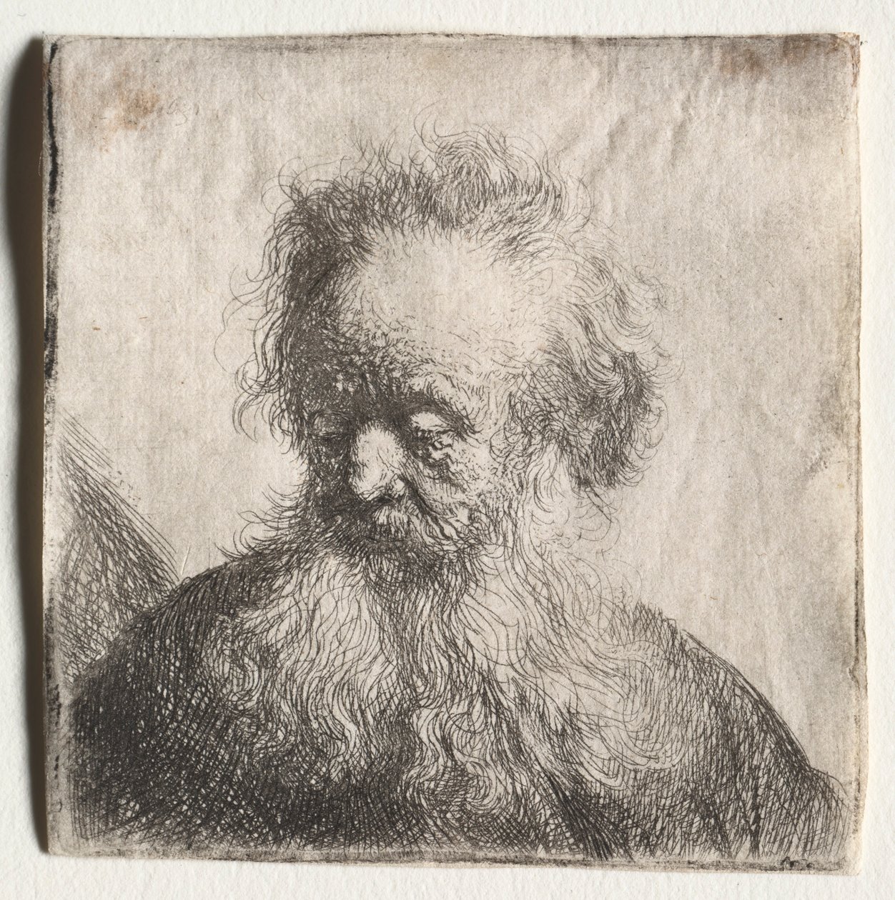 Akan Sakallı Yaşlı Adam: Büst, 1631. by Rembrandt van Rijn