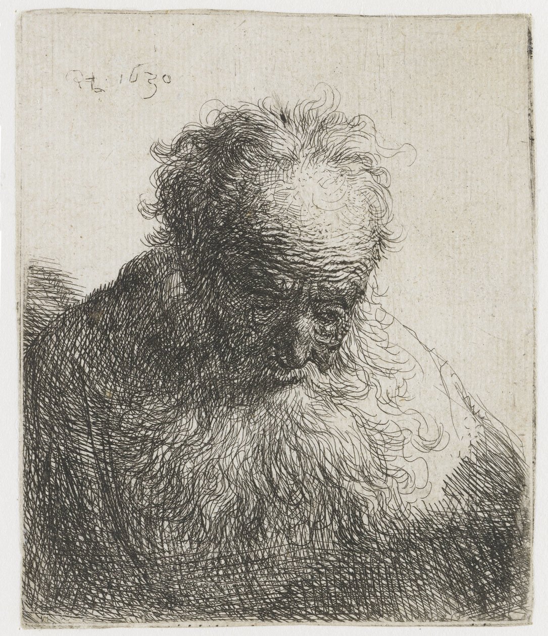 Akan Sakallı Yaşlı Adam, Sol Omuz Gölgesiz Yaşlı bir adamın Büstü Dökülen sakallı: baş öne eğik: sol omuz gölgesiz by Rembrandt van Rijn