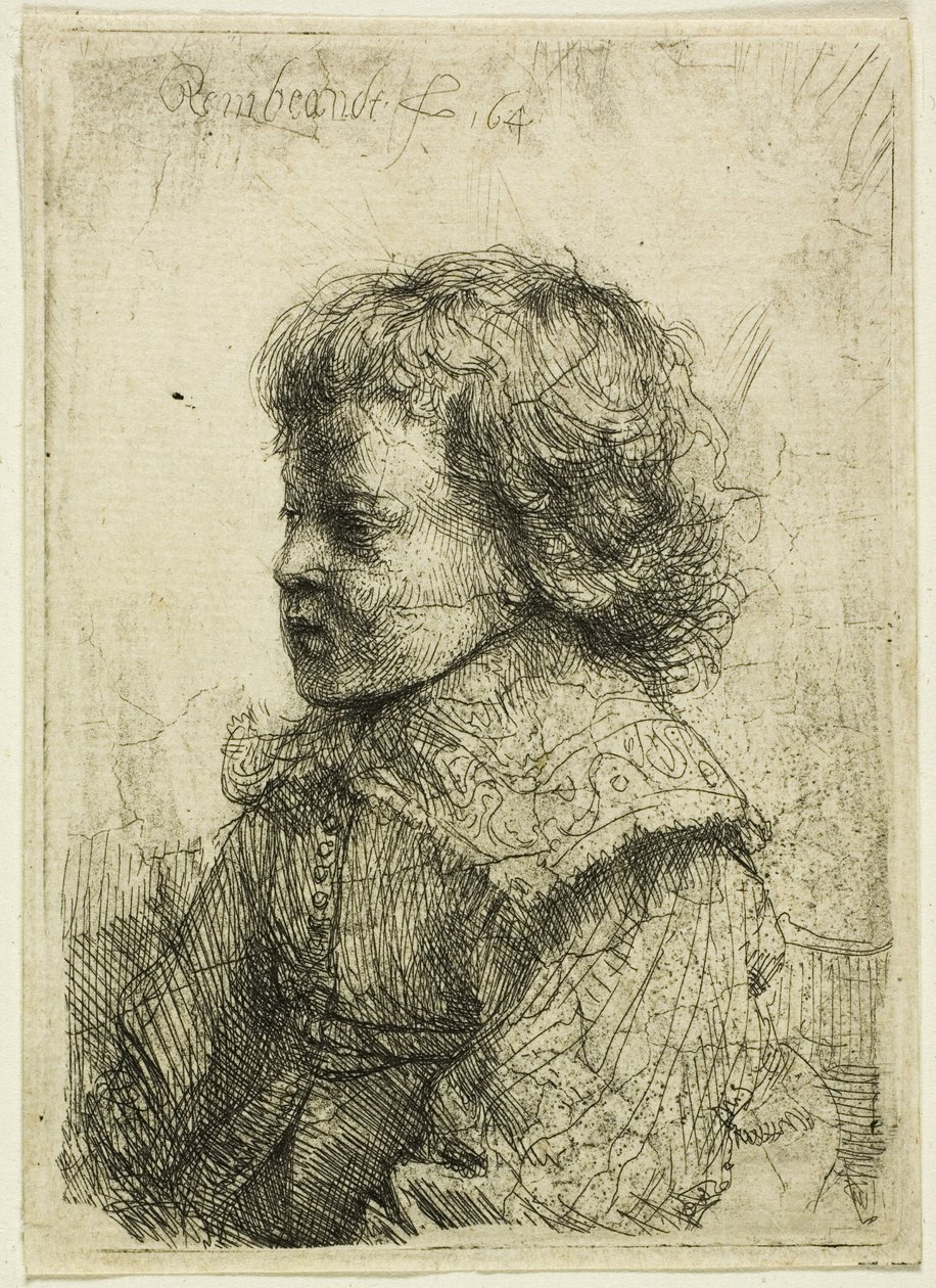 Bir çocuğun portresi by Rembrandt van Rijn