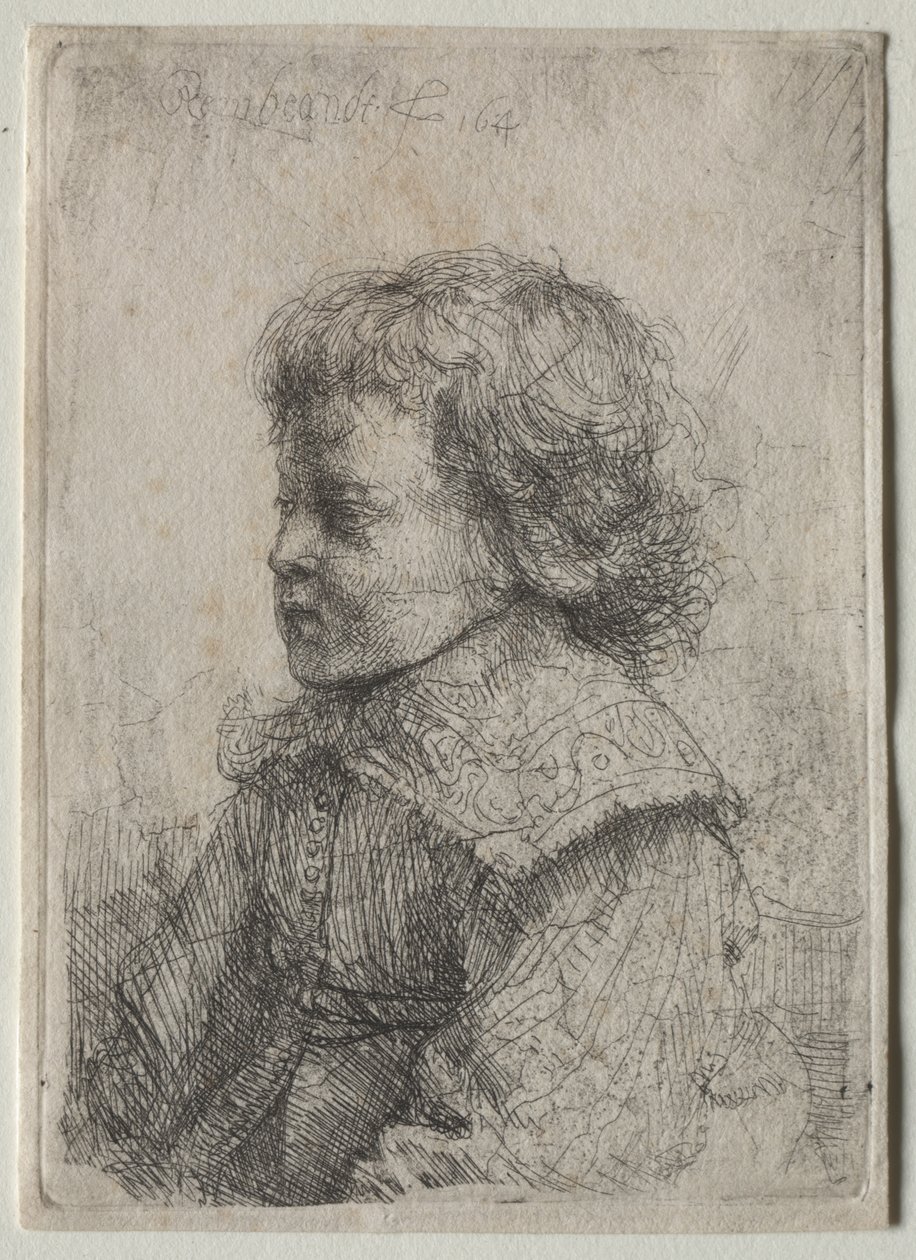 Profildeki Bir Çocuğun Portresi, 1641. by Rembrandt van Rijn