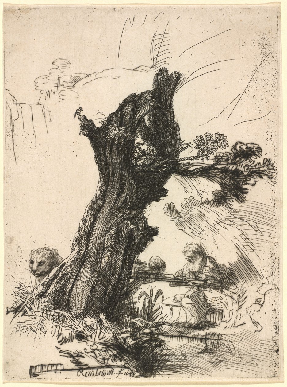 Bir Pollard Willow yanında Aziz Jerome by Rembrandt van Rijn