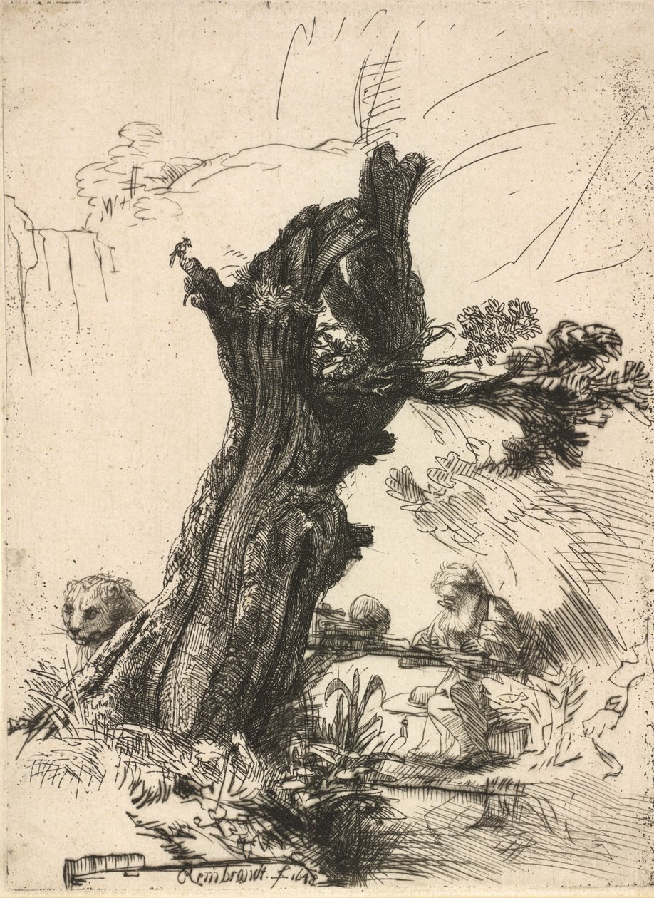 Aziz Jerome, Pollard Willow