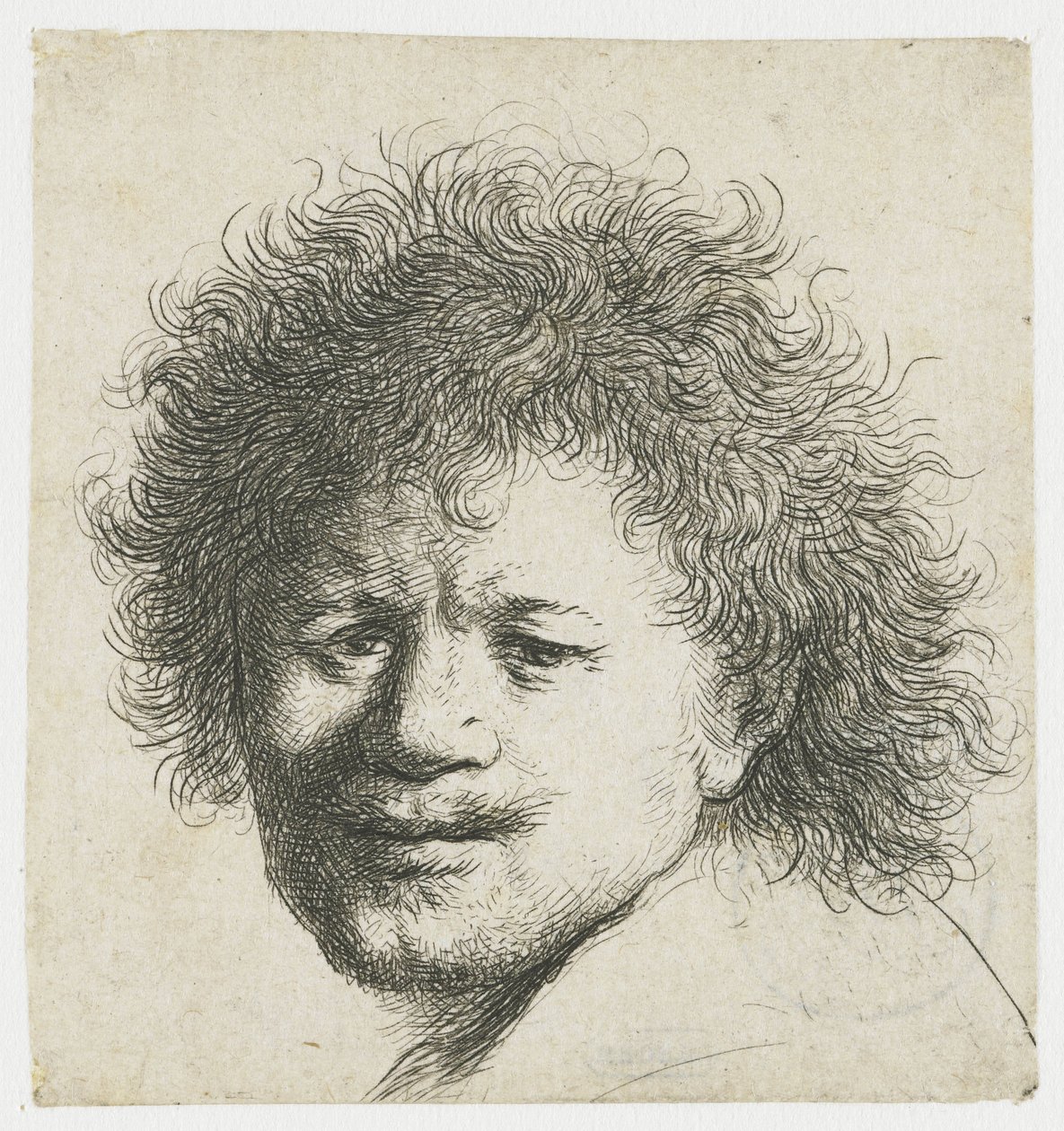 Uzun gür saçlı otoportre: sadece kafa by Rembrandt van Rijn