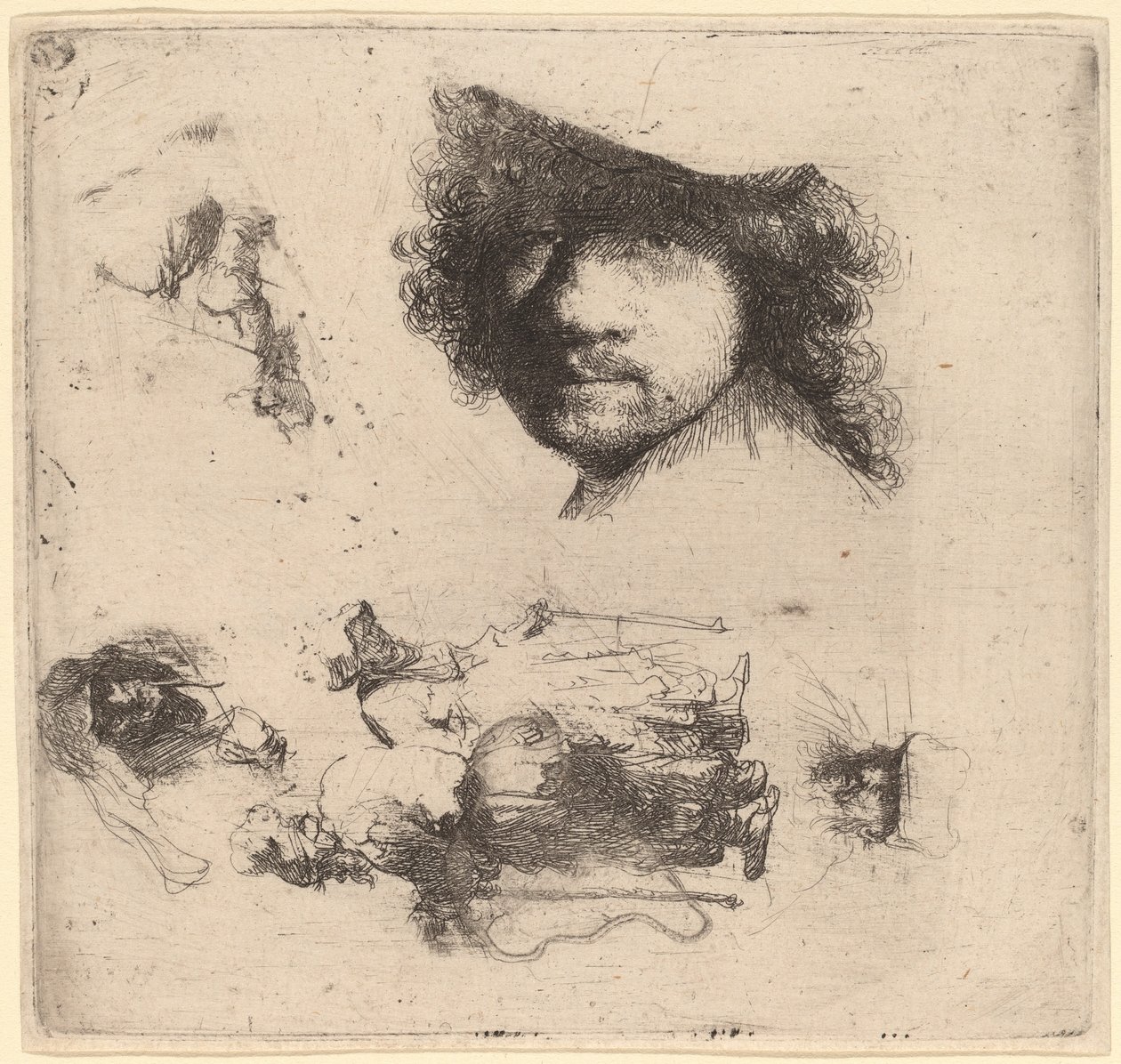 Sanatçının Başkanı, Bir Dilenci Çift, Yaşlı Bir Adamın ve Yaşlı Kadının Başkanlarını içeren Çalışmalar Sayfası by Rembrandt van Rijn