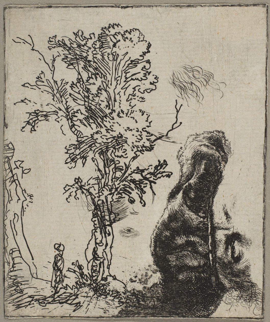 İki Etütlü Levha: Bir Ağaç ve Vel Giyen Bir Rembrandt Başının Üst Kısmı..., ca. 1642. by Rembrandt van Rijn