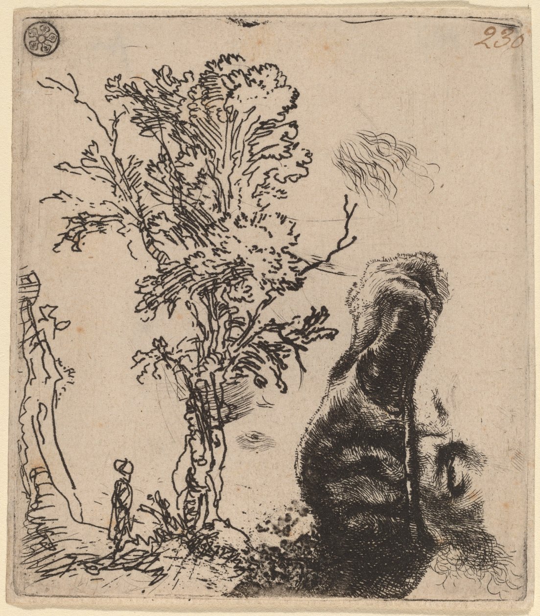 İki Etütlü Levha: Bir Ağaç ve Kadife Şapkalı Bir Sanatçının Başının Üst Kısmı by Rembrandt van Rijn