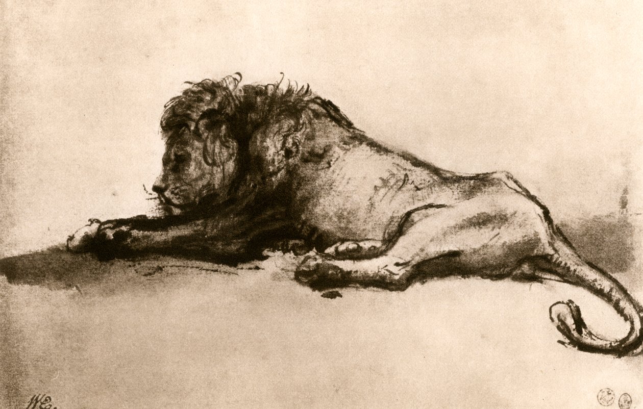 Aslan Çalışması, 1913. by Rembrandt van Rijn