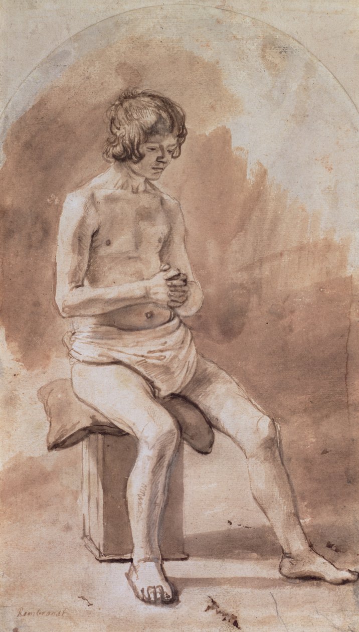 Çıplak Bir Gençlik Çalışması by Rembrandt van Rijn