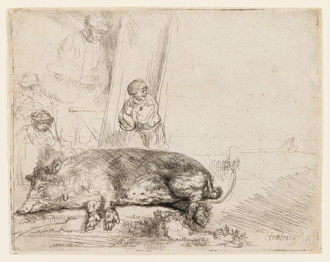 Domuz by Rembrandt van Rijn