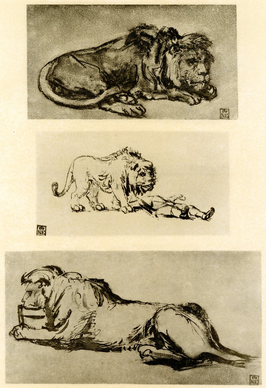 Üç aslan çalışması by Rembrandt van Rijn