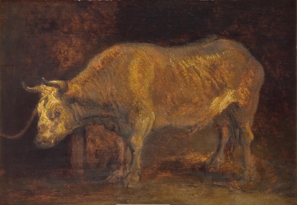 Bir Öküz Ayakta by Rembrandts skole