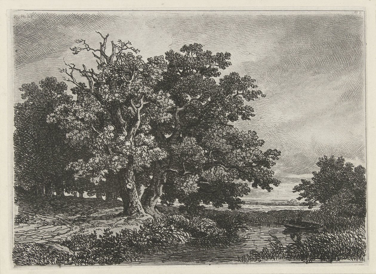 Bir tekne ile bir su birikintisi, ağaçlar by Remigius Adrianus Haanen