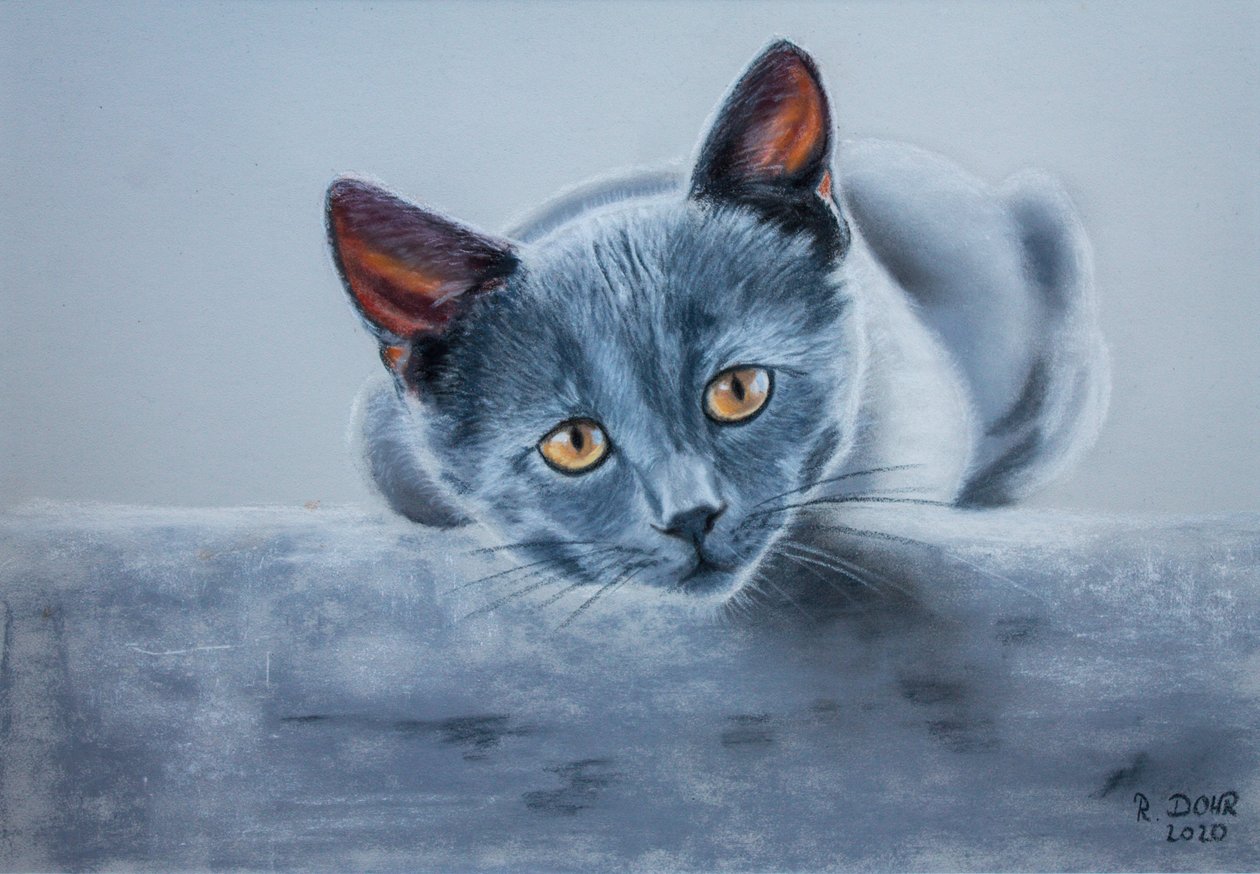 gri kedi by Renate Dohr