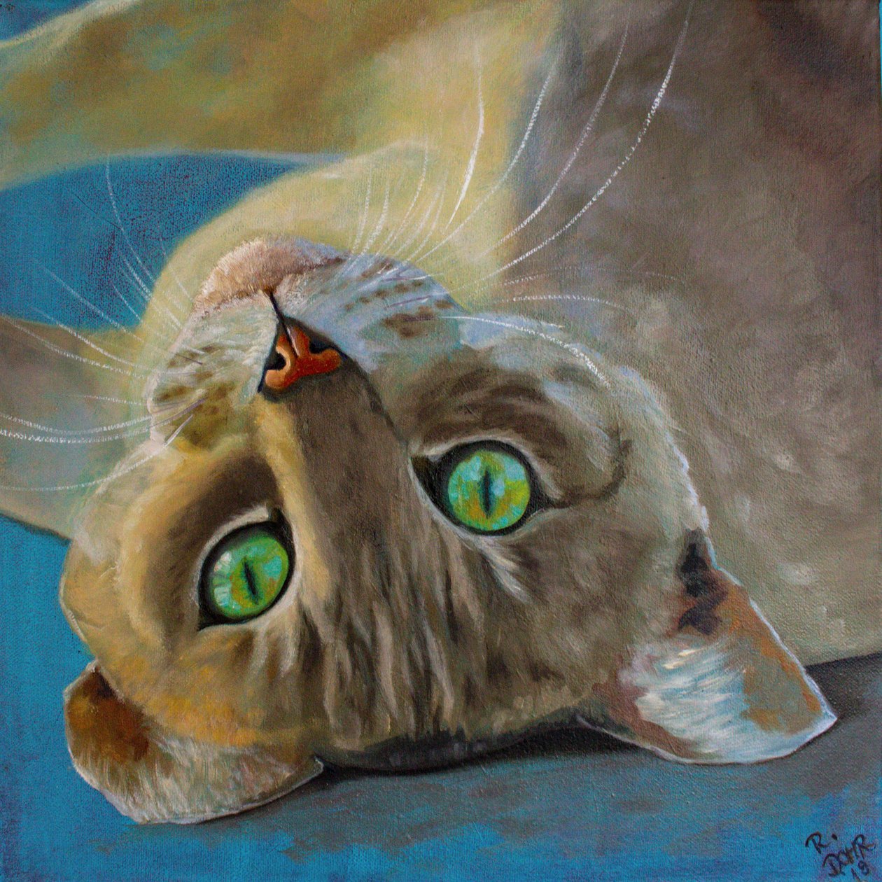 kedi şansı by Renate Dohr