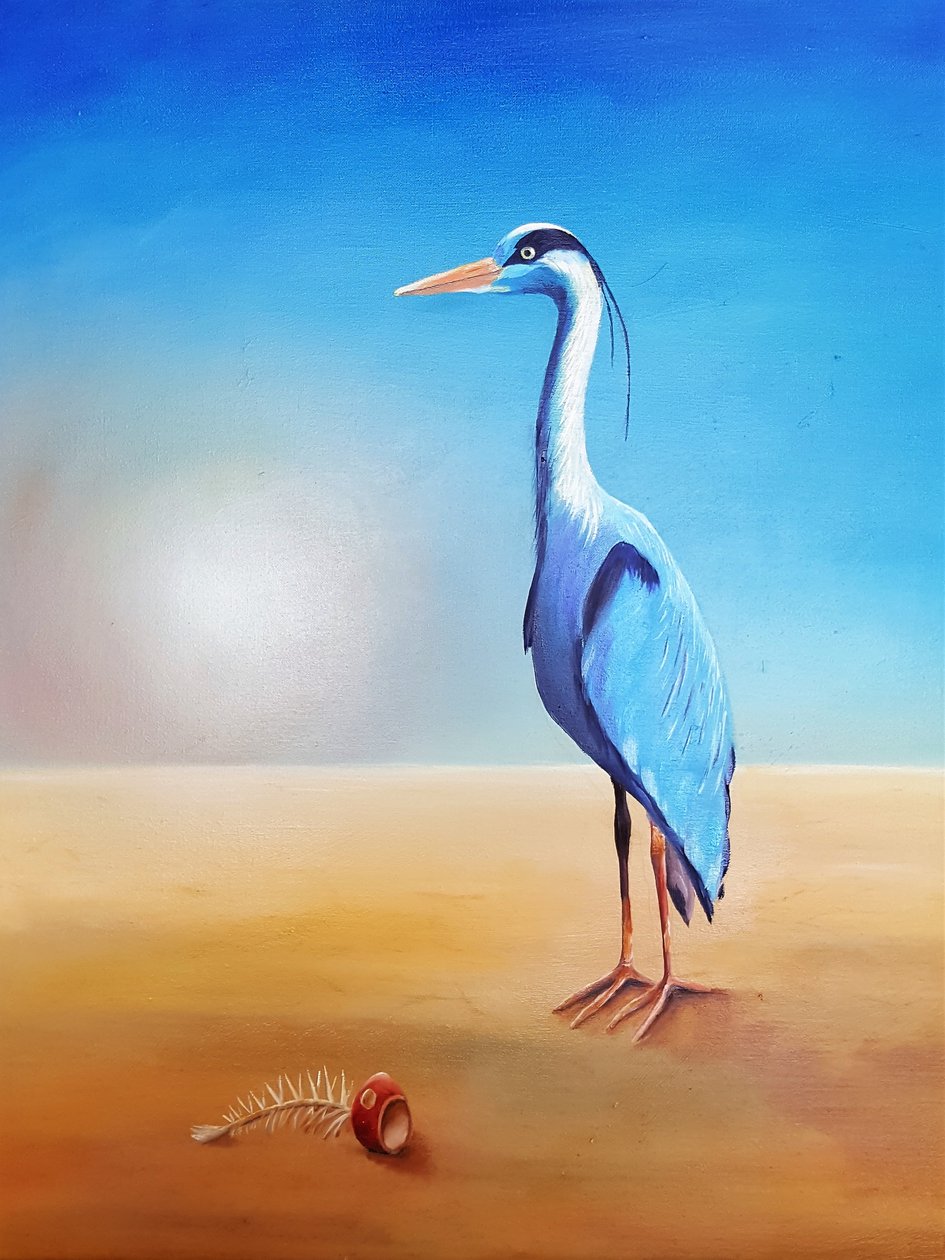 balıkçıl by Renate Dohr