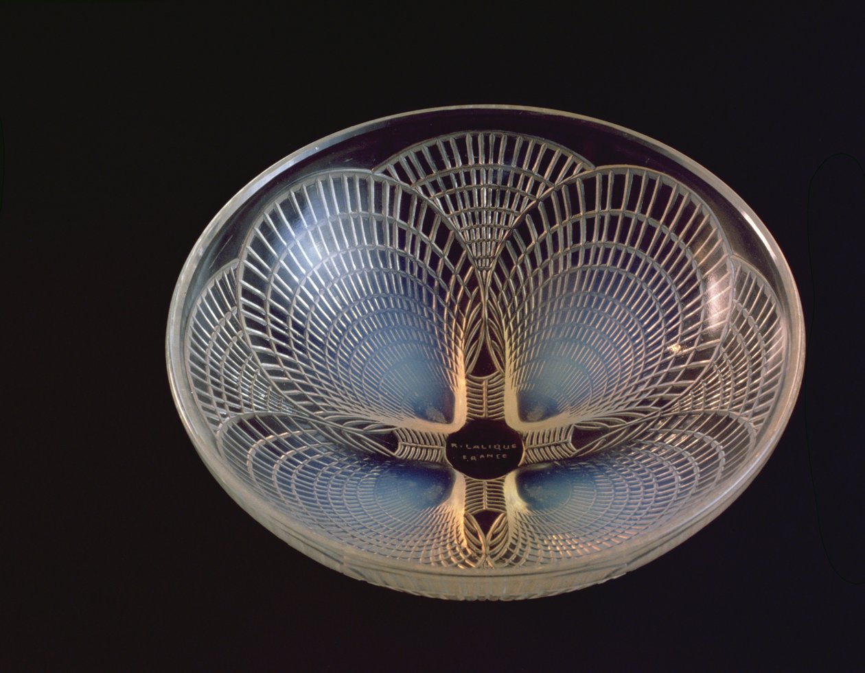 Coquilles, Lalique tarafından üzerini örten tarak kabuklarıyla kalıplanmış yanardöner cam vazo by Rene Jules Lalique