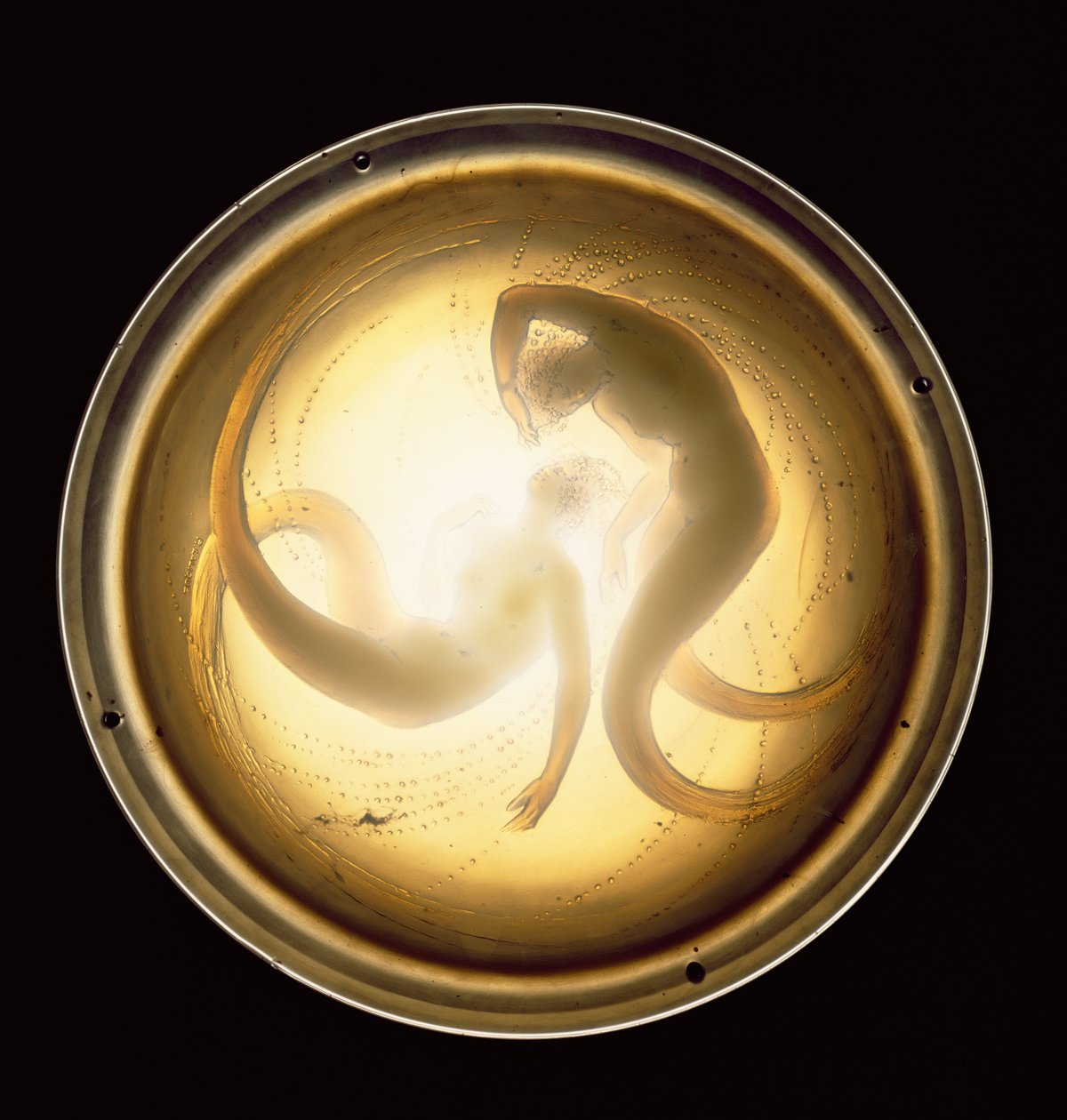 Deux Sirene Tavan Lambası (cam) by Rene Jules Lalique