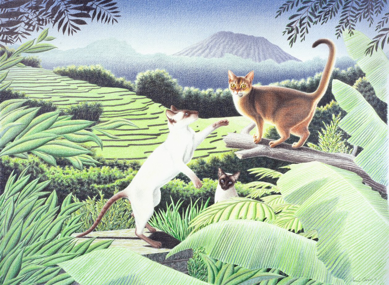 Bali, 2002, Kağıt üzerine renkli karakalem by Rene Boin
