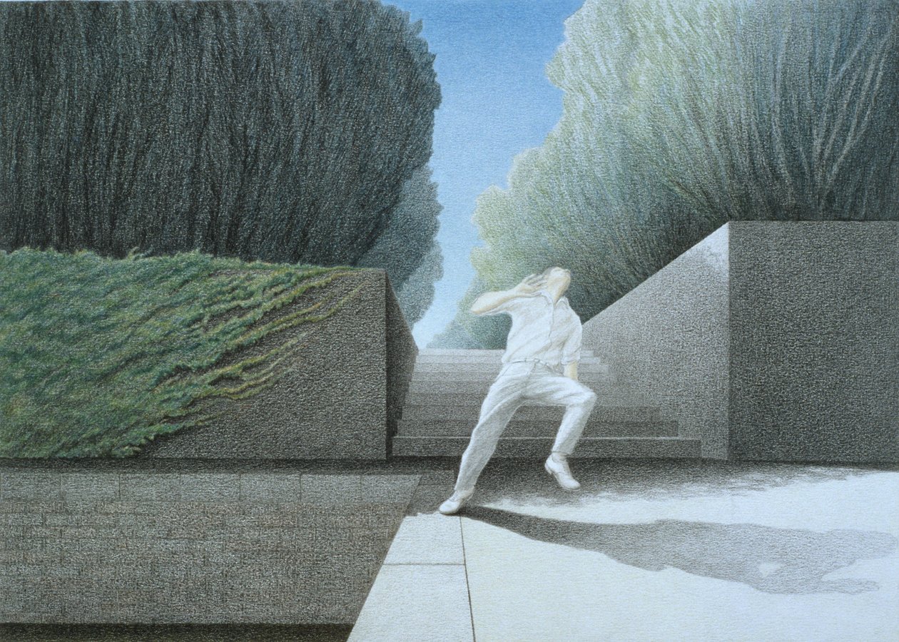 Dans by Rene Boin