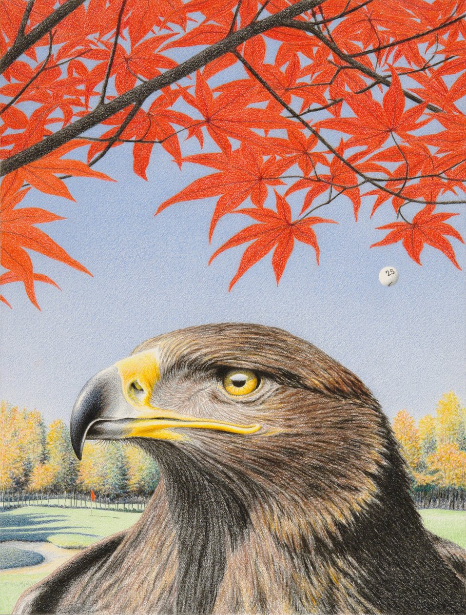 Kartal, 2015, Kağıt üzerine renkli karakalem by Rene Boin