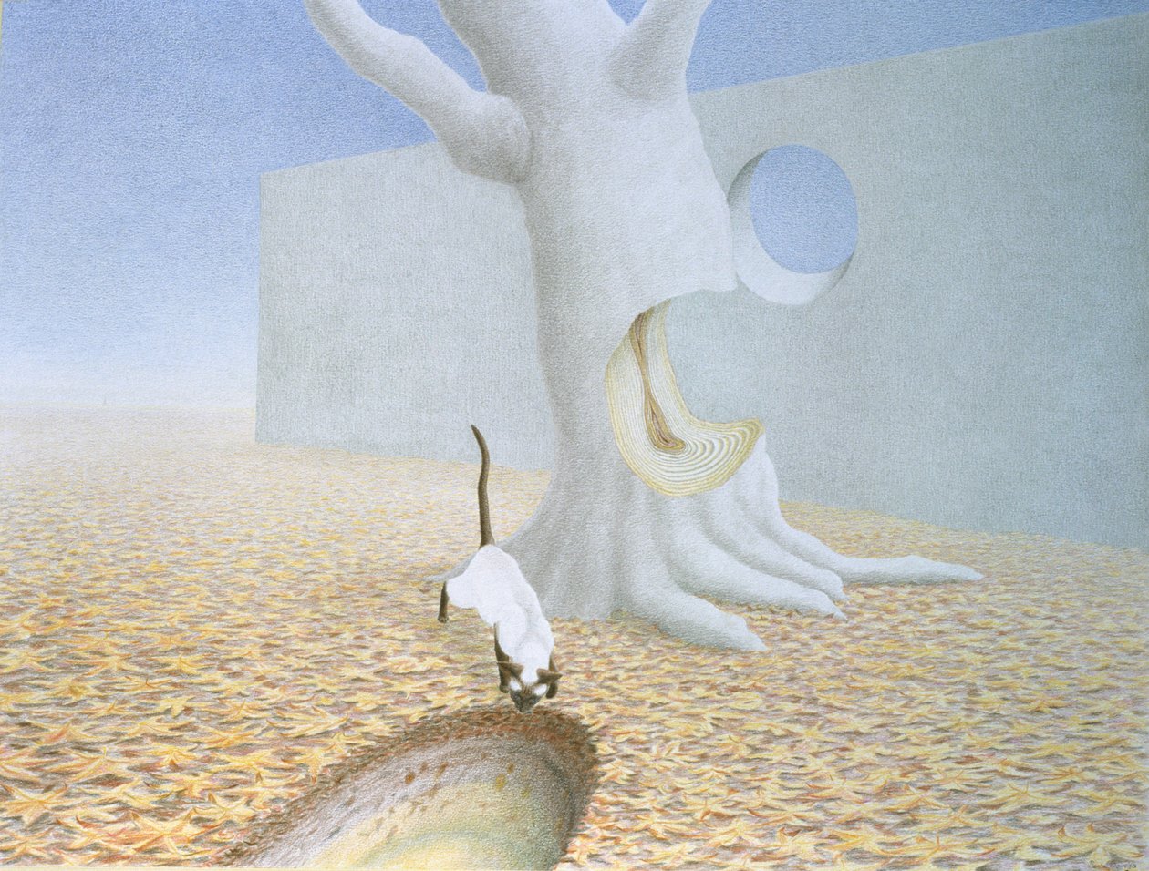 Delikler by Rene Boin