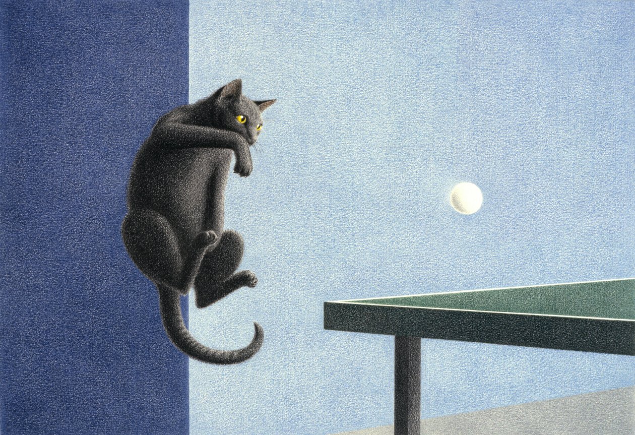masa Tenisi by Rene Boin